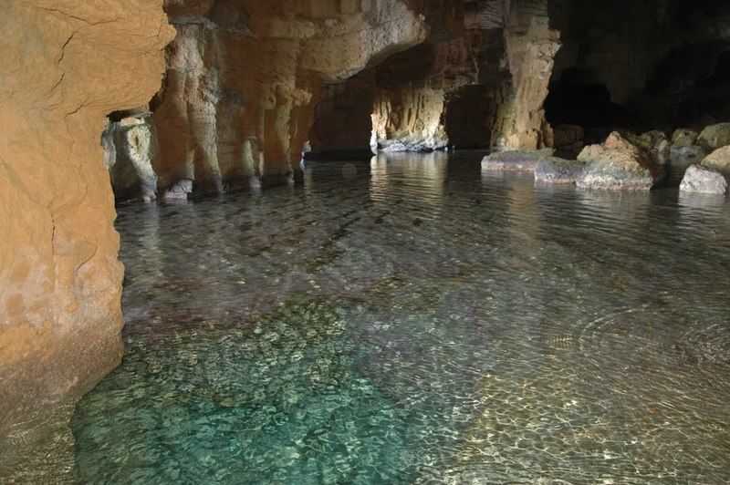 La Casa Del Carrebaix Otel Orba Dış mekan fotoğraf