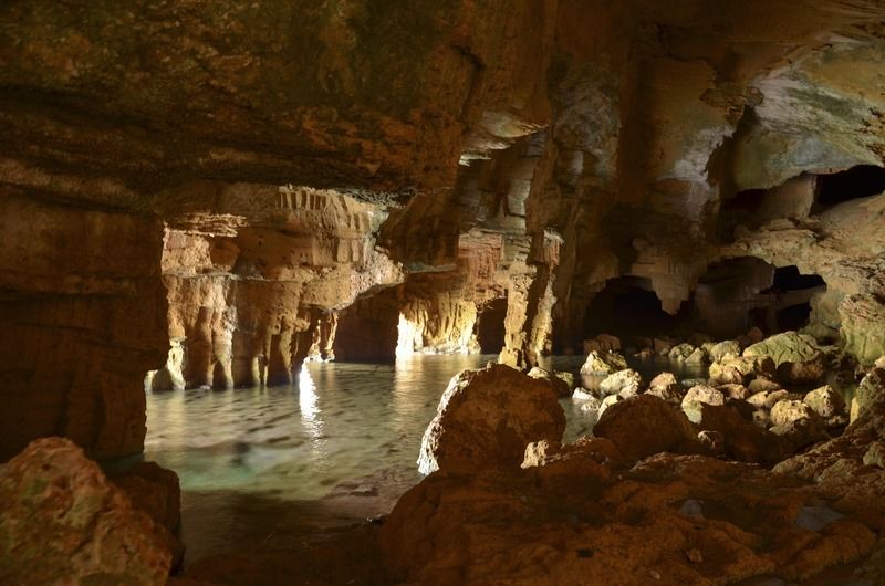 La Casa Del Carrebaix Otel Orba Dış mekan fotoğraf